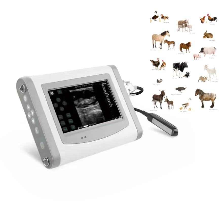 Touch Screen Veterinary Ultrasound Machine Price Touch Screen Veterinary Ultrasound Machine Price