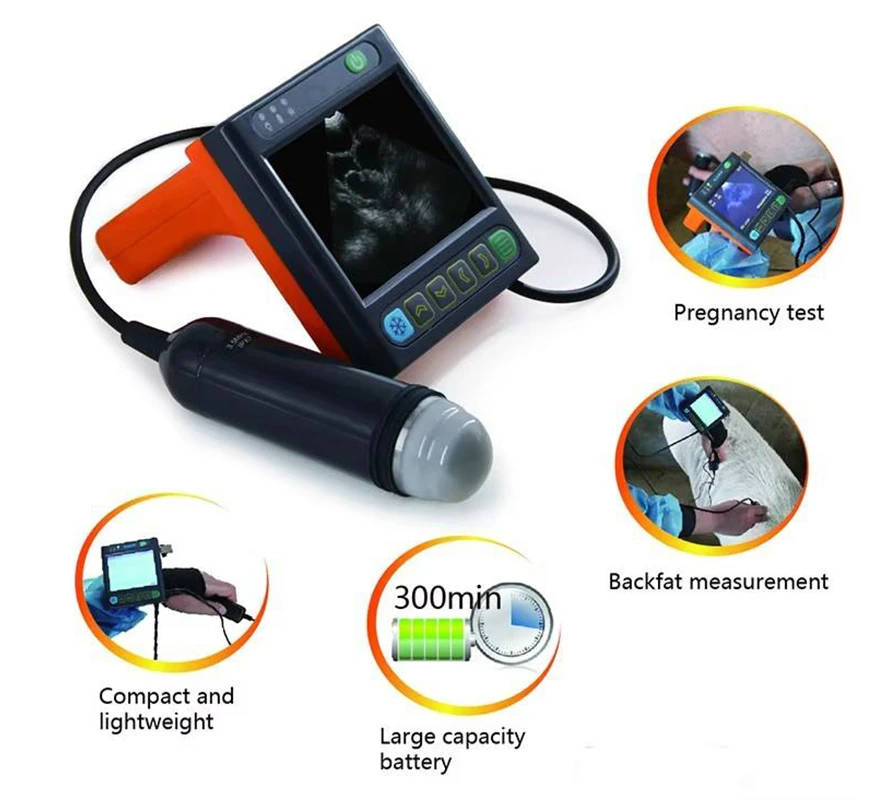 Veterinary Ultrasound with Probe Quotation Veterinary Ultrasound with Probe Quotation