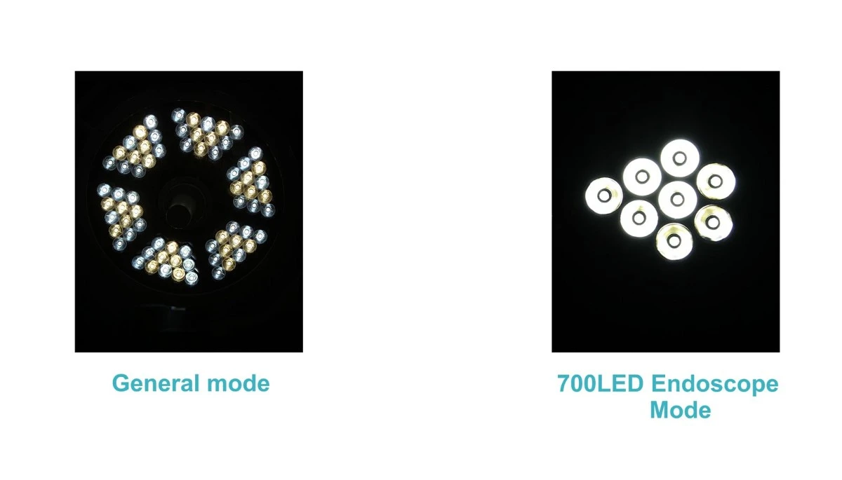 product-1600-914 product-1600-914